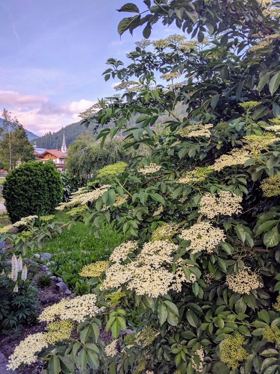 Apartment Hueberhof Sarentino Buitenkant foto